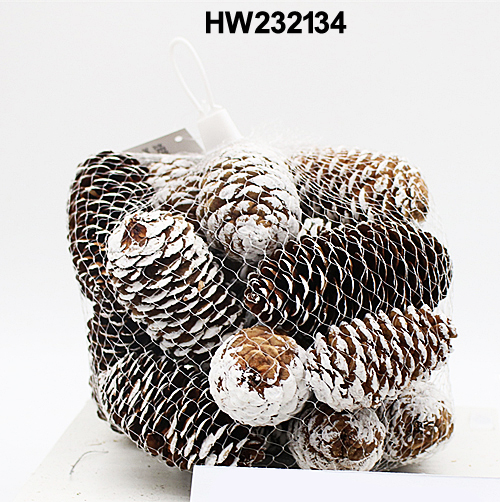 HW232134
