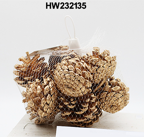 HW232135