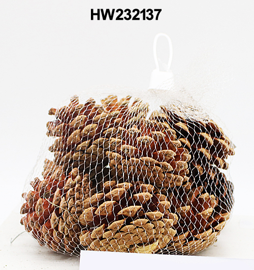HW232137