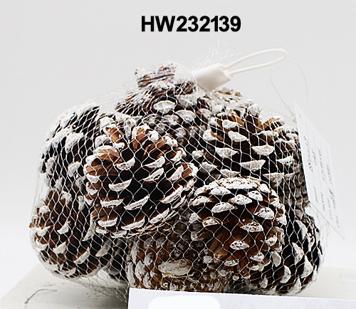 HW232139