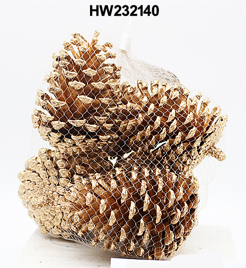 HW232140