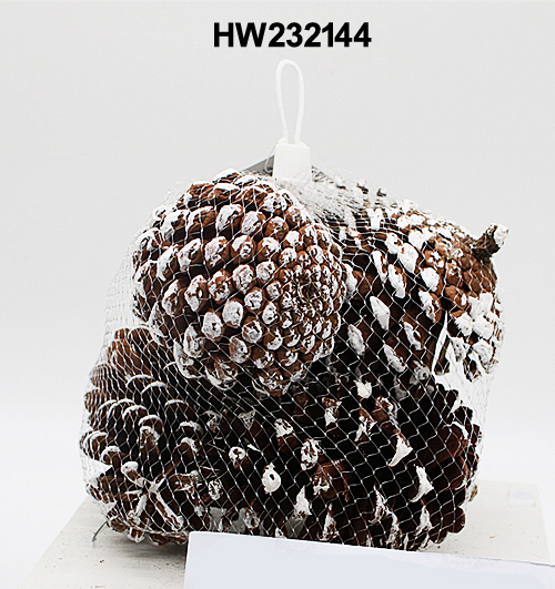 HW232144