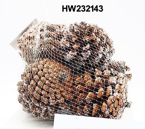 HW232143