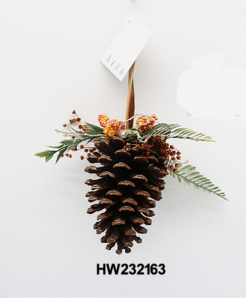 HW232163
