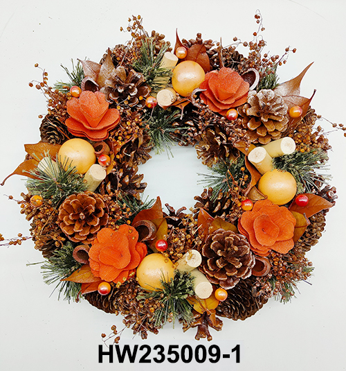 HW235009-1