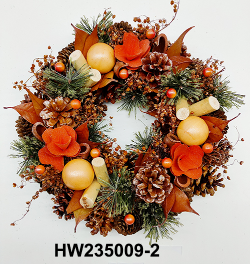 HW235009-2