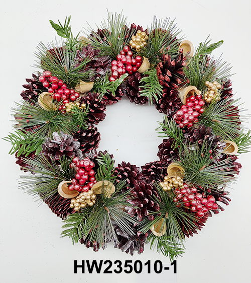 HW235010-1