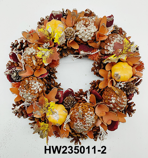 HW235011-2