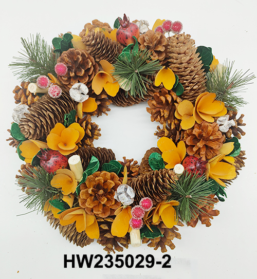 HW235029-2