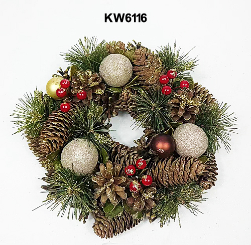KW6116
