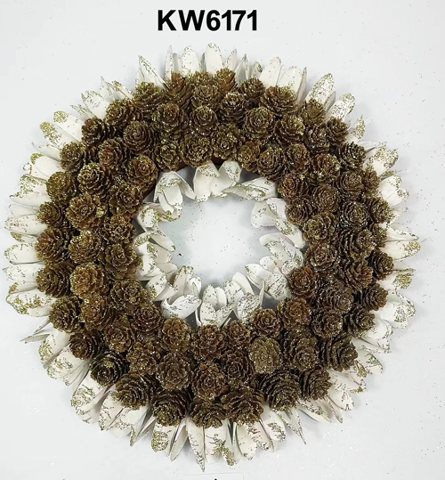 KW6171