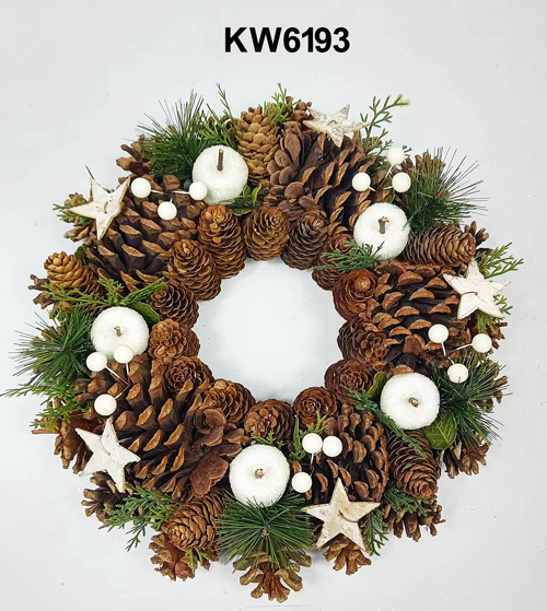 KW6193