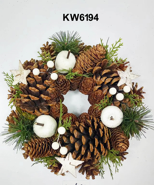 KW6194