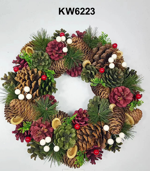 KW6223