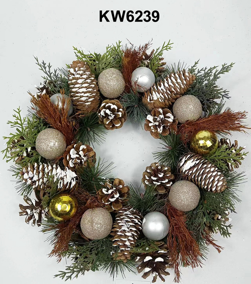 KW6239
