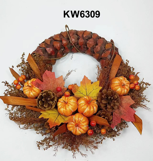 KW6309