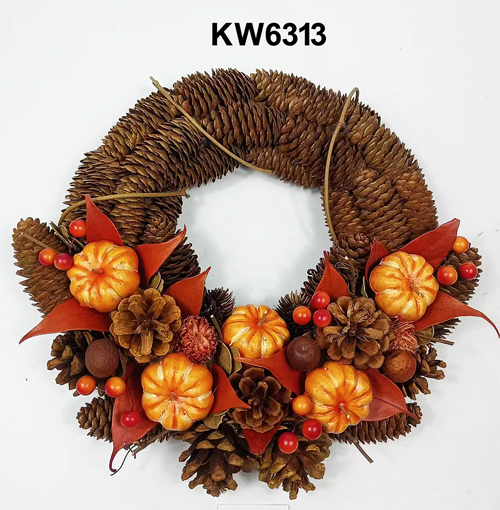 KW6313