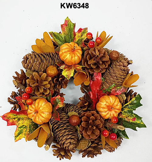 KW6348