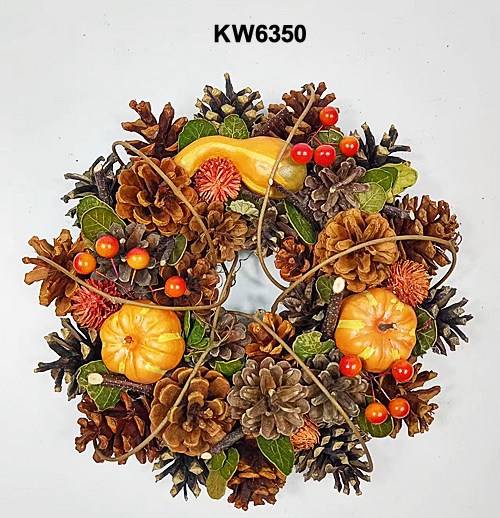 KW6350