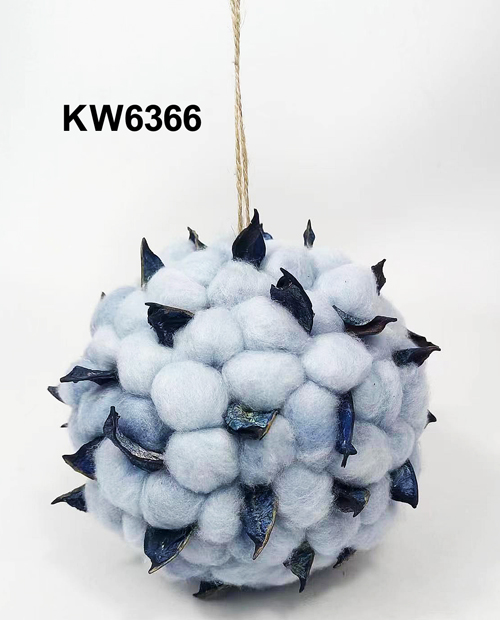 KW6366