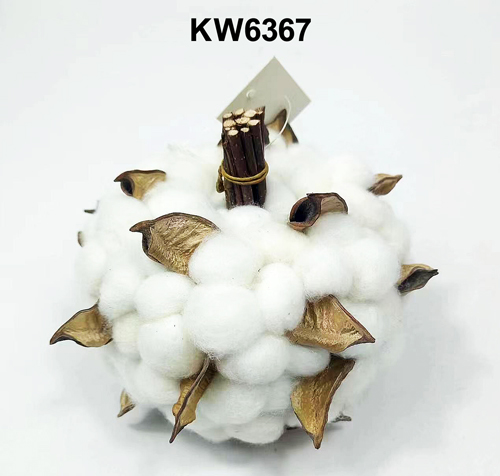KW6367