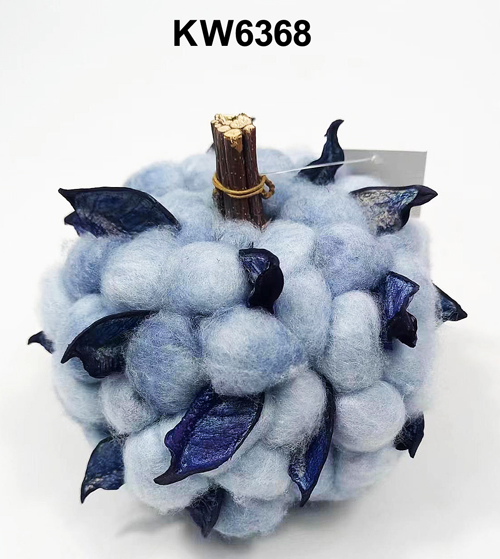 KW6368