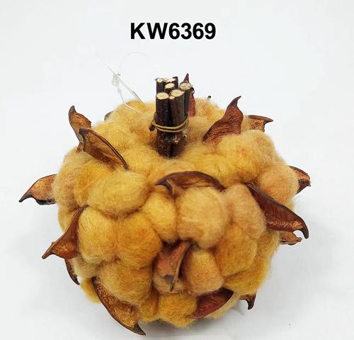 KW6369