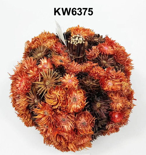 KW6375