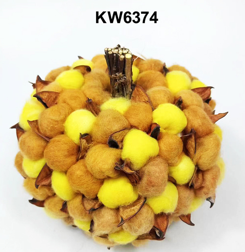 KW6374