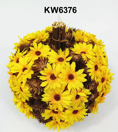 KW6376