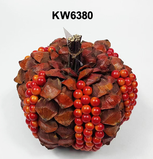 KW6380