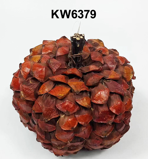 KW6379