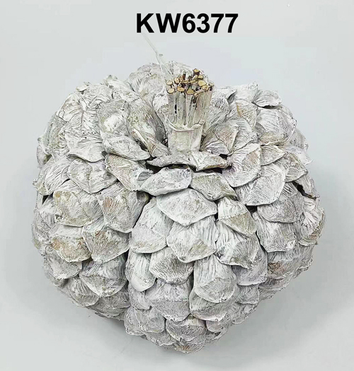 KW6377