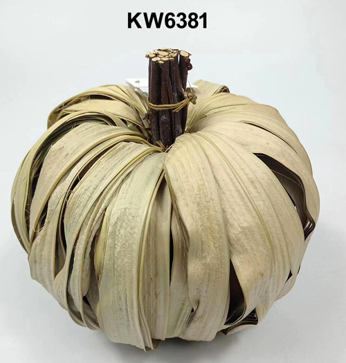 KW6381