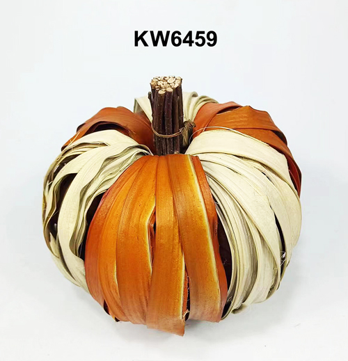 KW6459