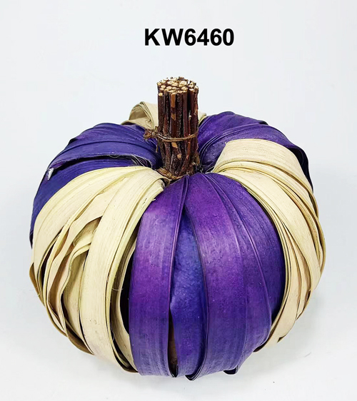 KW6460