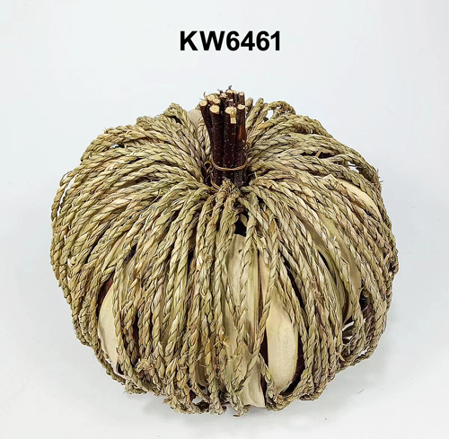KW6461