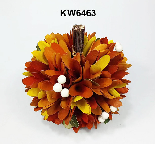 KW6463