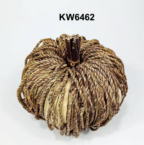 KW6462
