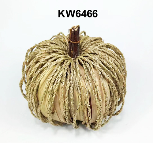KW6466