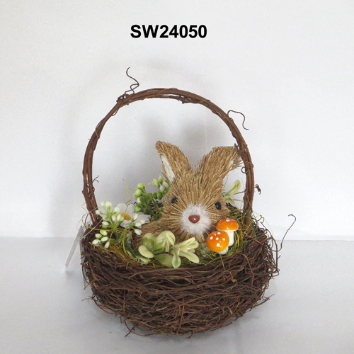 SW24050