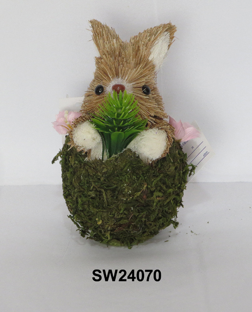 SW24070