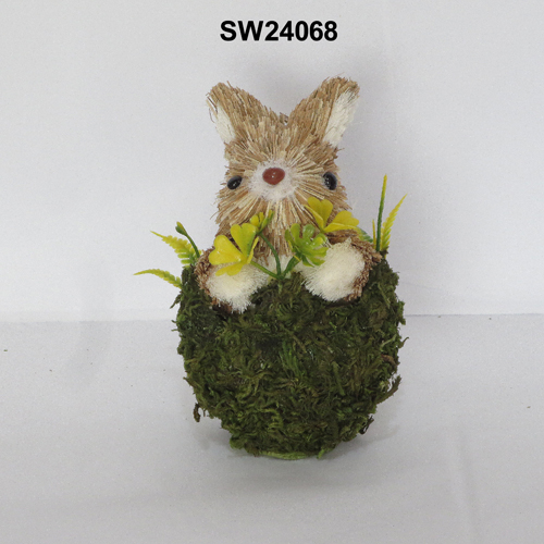 SW24068