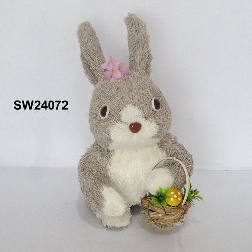 SW24072