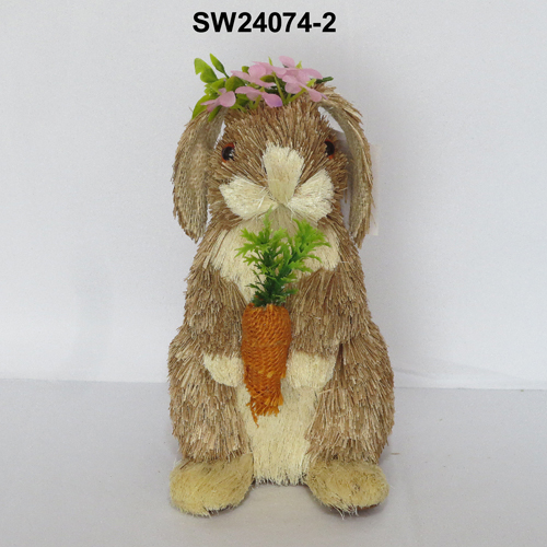 SW24074-2
