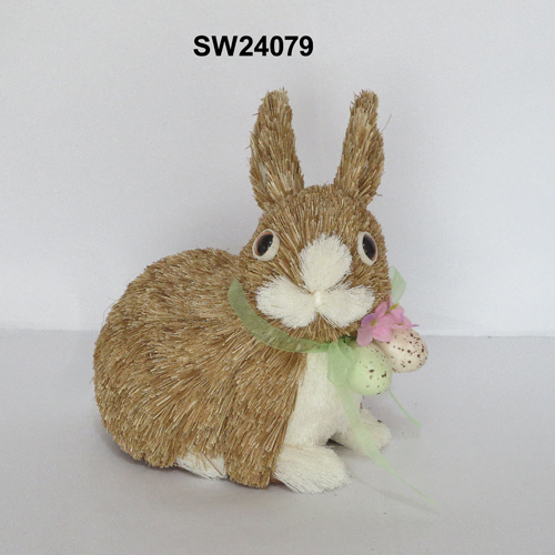 SW24079