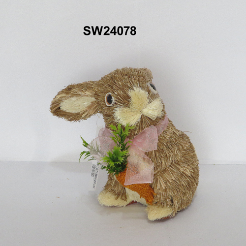 SW24078