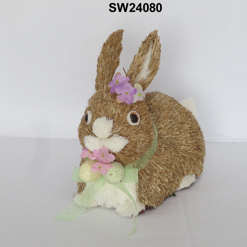 SW24080