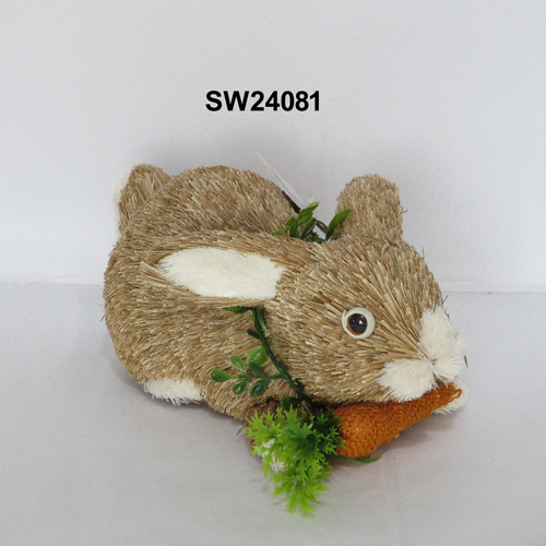 SW24081
