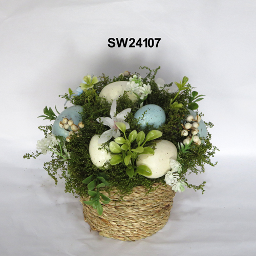SW24107